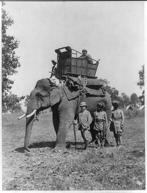 H.R.H the prince of Wales and an Elephant, Terai.