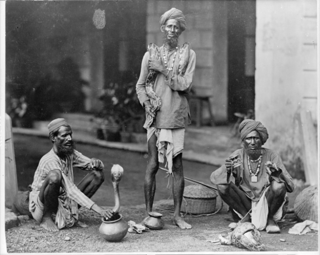 Snake Charmers, India 1889